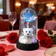 thumbnail image 1 of Lunxisen 2 Pcs Roses in Glass Dome,Eternal Rose Bear,Birthday Flowers for Women,Valentine Mother's Day Anniversary Thanksgiving(8.5*15.5cm), 1 of 8