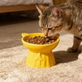 thumbnail image 1 of Lunxisen 4 Pcs Elevated Cat Food Bowl, Ceramic Raised and Tilted Water Bowl, Anti Vomiting and Protect Pets' Spines Dishes for Small Dog, Fat Faced Cat, Kitten, 1 of 8