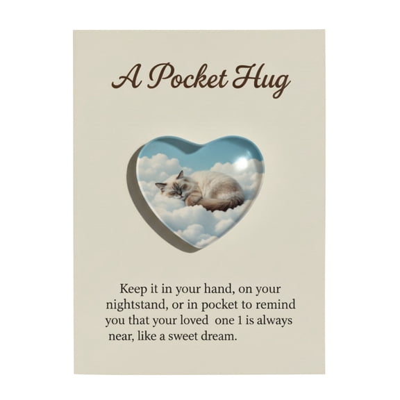 Lunxisen 3 Pcs Pocket Hug with Mini Desk cat Small Gifts for Friends Family Thank You Cards in Bulk Celebration of Life Adult Party Favors Cat Decorations
