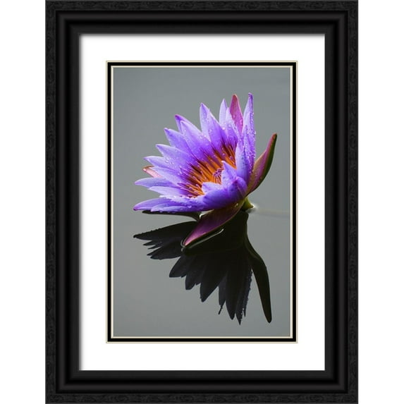 Luo, X. 13x18 Black Ornate Wood Framed with Double Matting Museum Art Print Titled - Lotus Flower in Pond