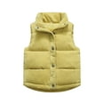 thumbnail image 1 of Luogg Toddler Kids Baby Boys Girls Corduroy Vest Fleece Fuzzy Sleeveless Coat Outerwear Pockets Girls Jacket With Hood Size 2-3 Years, 1 of 3
