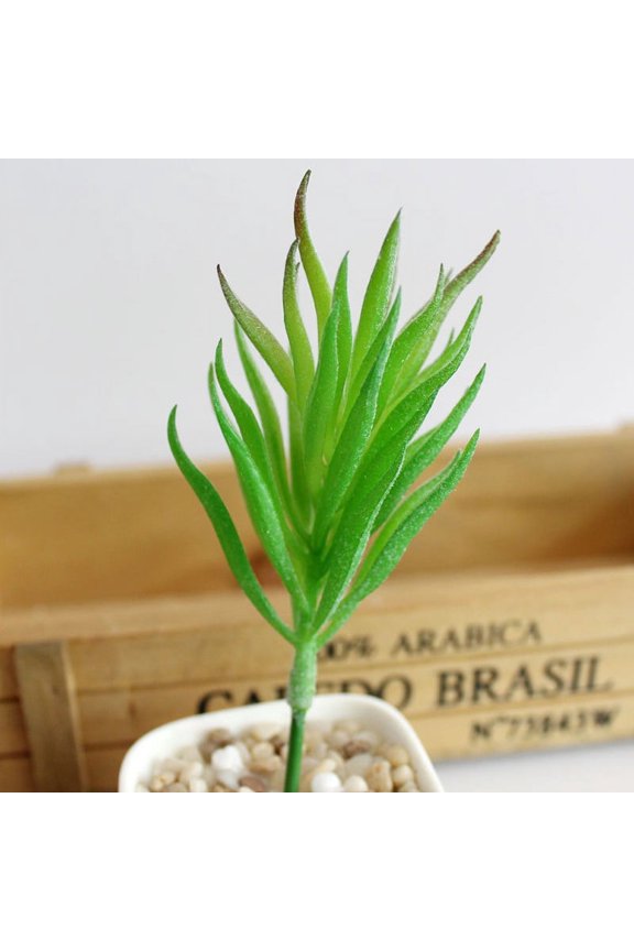 Artifical Plastic Succulent Plant Echeveria Flower Home Office Decor Bonsai Fake Plants Without Pot Wedding Decoration Green Green bluegrass