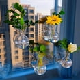 thumbnail image 1 of Luoshdecor 2Pcs Window Propagation Stations,Clear Plastic Wall Hanging Planter with Hook for Home Office Decor, 1 of 7