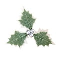 thumbnail image 1 of Luoshdecor Christmas Holly Leaves with Berry,20Pcs Artifical Holly Berry Flowers Leaves for Xmas Wreath Tree Crafts Gifts Wedding Party Decorations, 1 of 6