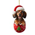 thumbnail image 1 of Luoshdecor Christmas Tree Ornament，Hatching Born Dachshund Dog Acrylic Pendants, Christmas Tree Decor Dog, Home Decor for Fireplaces, Windows, Doors, Walls, 1 of 4