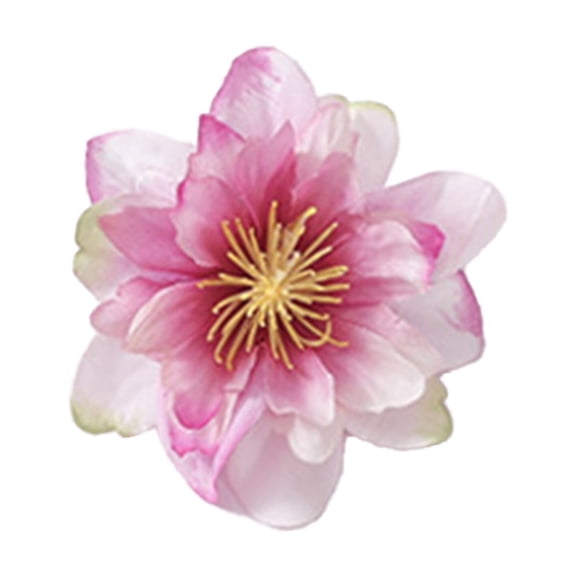 Luoshdecor Fabric Silk Peach Flower Head Decoration,10Pcs Blossoms Artificial Flowers for Wedding Bouquets Hair Accessories