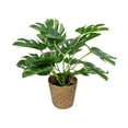 thumbnail image 1 of Luoshdecor Fake Plants Artificial Potted Plants Faux Greenery Monstera Deliciosa for Outdoor Porch Planters, Wedding, Garden Decoration, 1 of 6