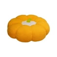 thumbnail image 1 of Luoshdecor Fall Pumpkin Floor Cushion Seat, Pumpkin Throw Pillows Thanksgiving 3D Cushion Halloween Decoration Pumpkin Throw Pillow for Bedroom Sofa 18in, 1 of 6
