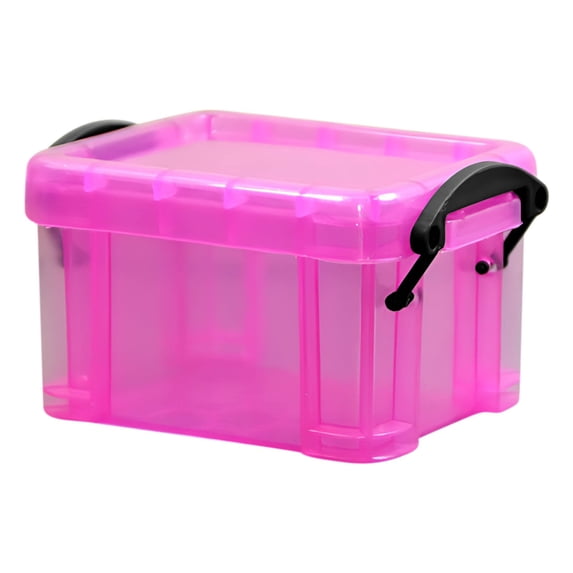 Luoshdecor Mini Plastic Storage Box with Locking Lids,Clear Arts and Crafts Organizer for Crafts, Stationery, Jewelry, Sewing