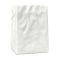 thumbnail image 1 of Luoshdecor Plastic Plant Pot,White Crinkle Paper Bag Shape Flower Vase for Indoor & Outdoor Garden Decor, 1 of 6