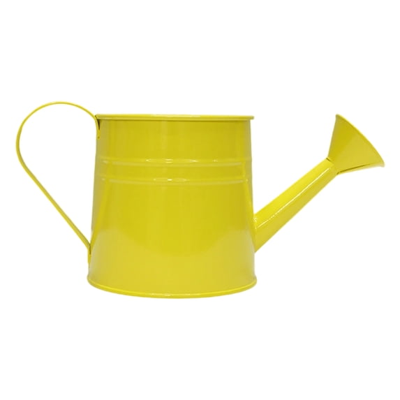 Luoshdecor Vintage Metal Watering Can - Floral Caring Iron Kettle for Indoor & Outdoor Garden