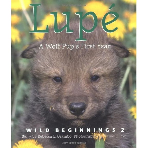 Pre-Owned Lupe: A Wolf Cub's First Year (Wild Beginnings) Paperback