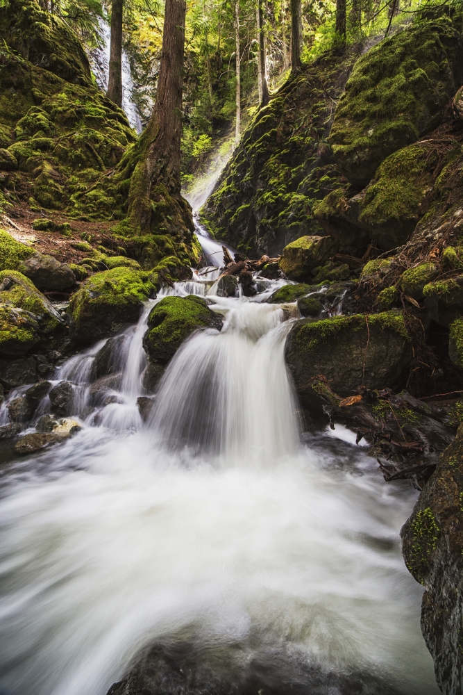 Lupin Falls Strathcona Provincial Park British Columbia Canada Canvas Art - Robert Postma Design Pics (24 x 38)