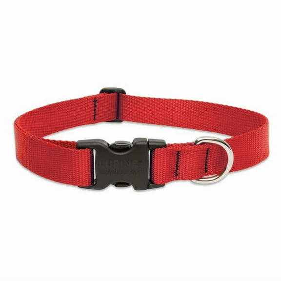 1PC Lupine Nylon Dog Collar