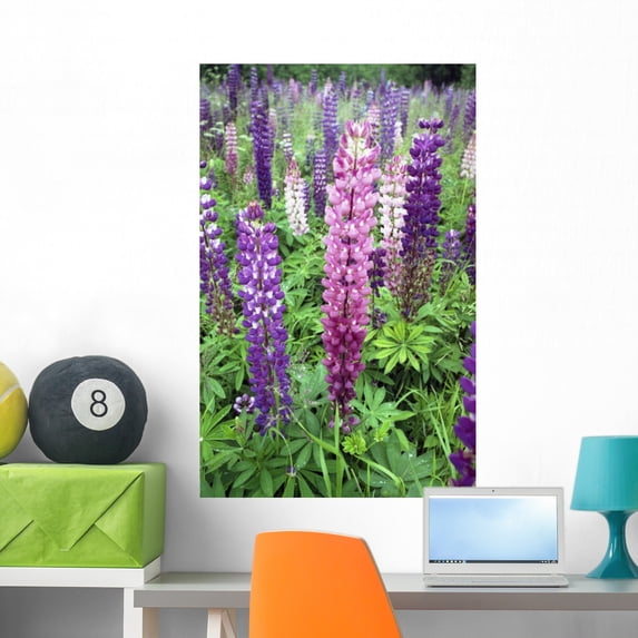 Lupine 3 Wall Mural by Wallmonkeys Peel and Stick Graphic (36 in H x 23 in W) WM17812