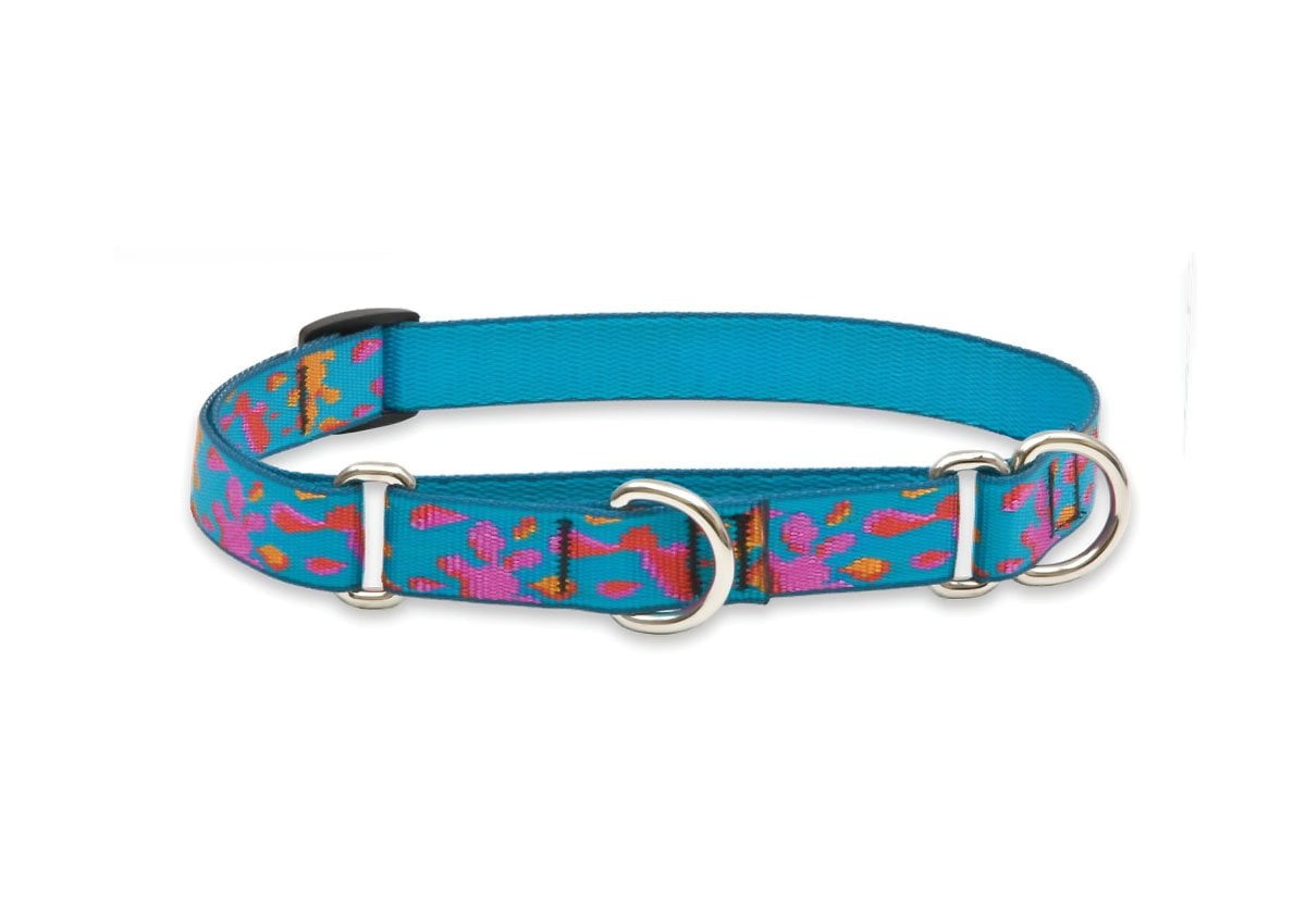 LupinePet Originals 3/4" Wet Paint 10-14" Martingale Collar for Small Dogs
