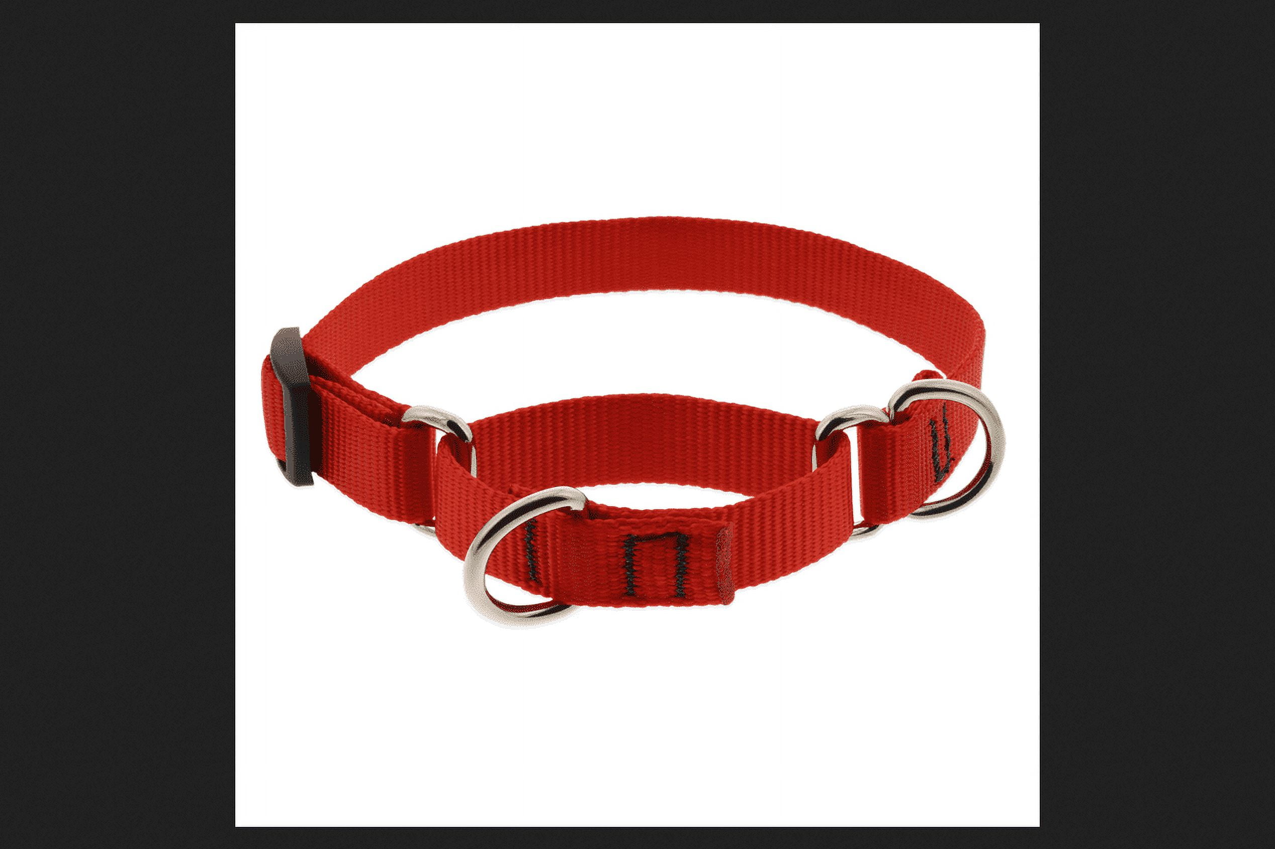 Lupine Basics Red Nylon Dog Martingale Collar Neck 1420
