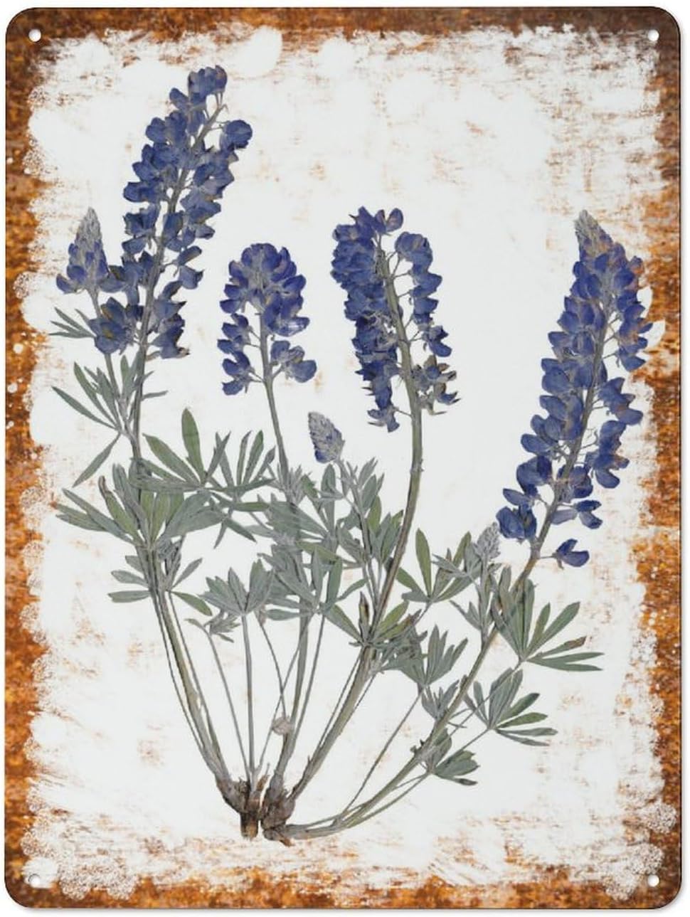 Lupine Botanical Flower Funny Retro Metal Tin Sign Family