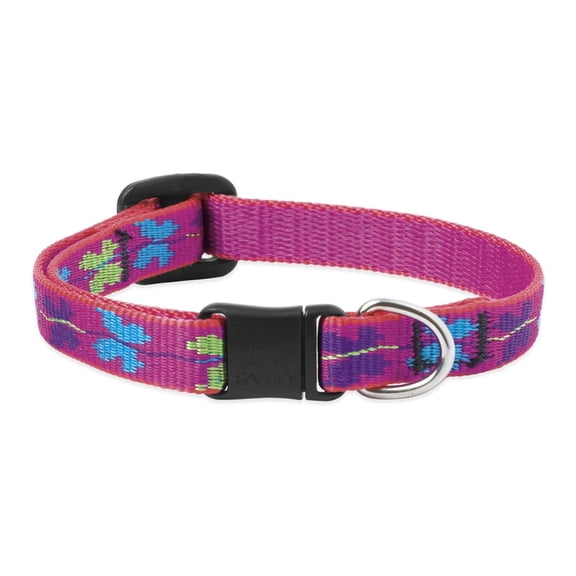 Lupine Cat Safety Collar with Bell Wing IT 8-12"