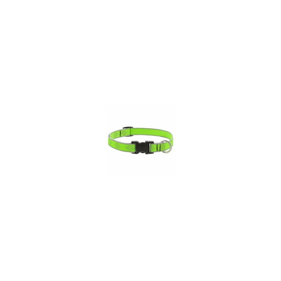 Lupine Inc. Lupine Reflective Thread Dog Collar - Pack of 6