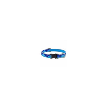 Lupine Reflective Dog Collar 3/4" Wide Blue Paws Adjusts from 13" to 22"