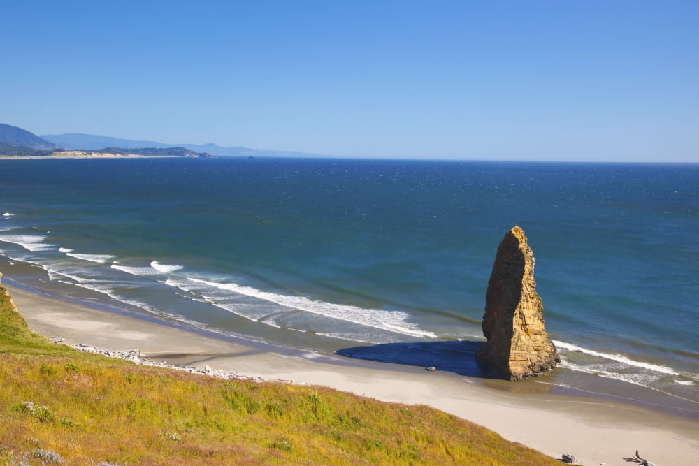 Lupine Wildflowers And Rock Formations At Cape Blanco Oregon United States of America Canvas Art - Craig Tuttle  Design Pics (38 x 24)