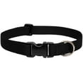 thumbnail image 1 of LupinePet Basics 1" Black 12-20" Adjustable Collar for Medium and Larger Dogs, 1 of 2