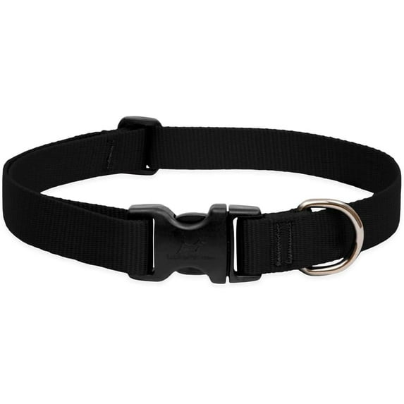 LupinePet Basics 1" Black 12-20" Adjustable Collar for Medium and Larger Dogs