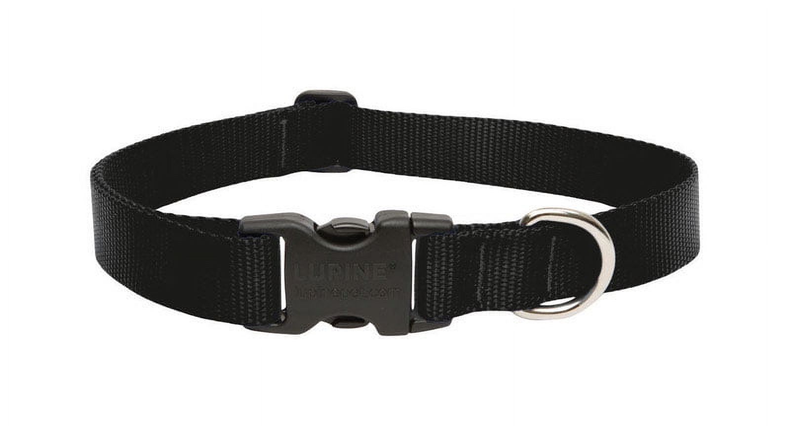 LupinePet Basic Solids Black Black Nylon Dog Adjustable Collar 