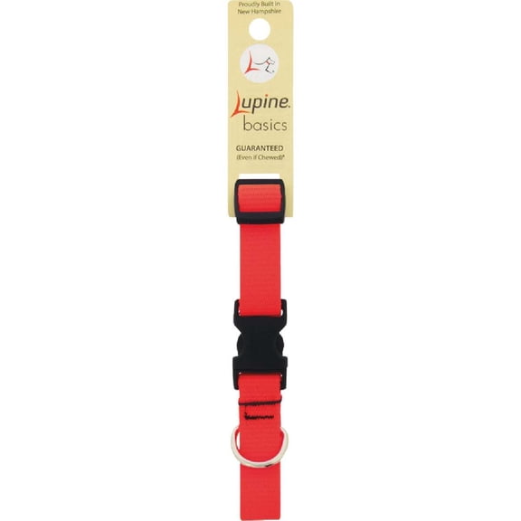 LupinePet Basic Solids Blaze Orange Blaze Orange Nylon Dog Adjustable Collar
