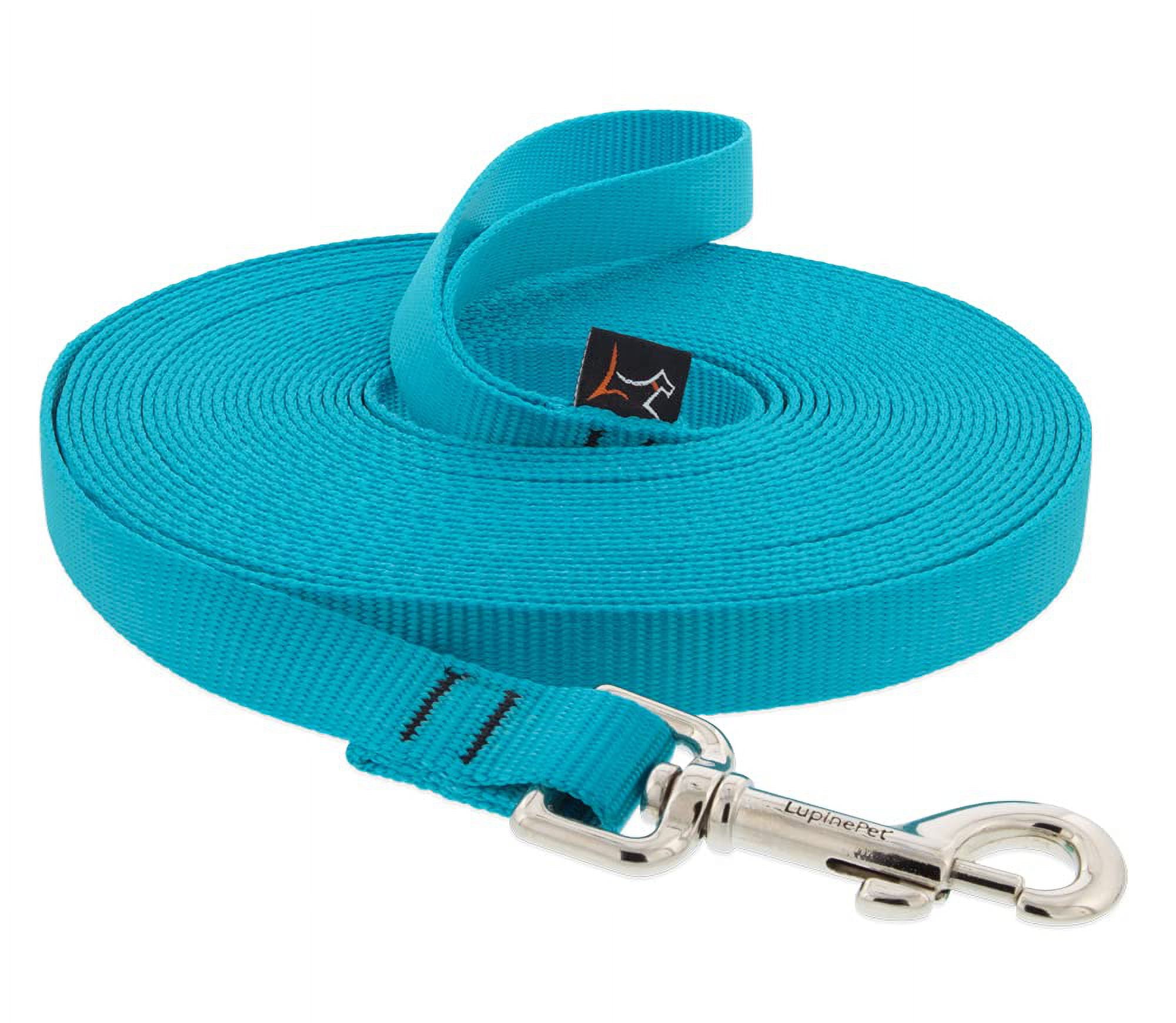 LupinePet Basics 3/4" Aqua 15Foot ExtraLong Training Leash for Dogs