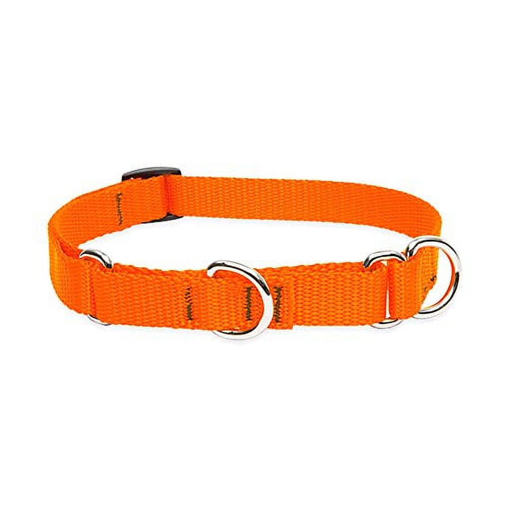 LupinePet Basics 3/4" Blaze Orange 1014" Martingale Collar for Small