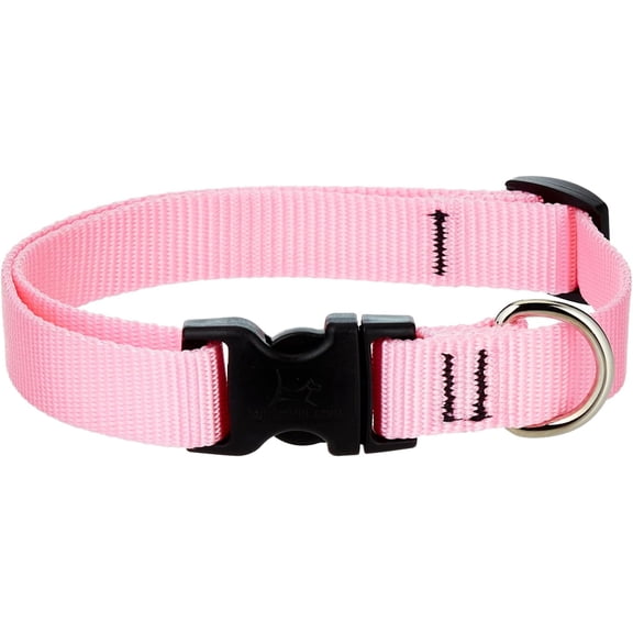 LupinePet Basics 3/4" Pink 9-14" Adjustable Collar for Small Dogs
