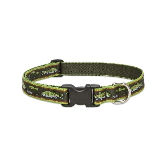 Lupine Inc. Lupine Patterned Nylon Dog Collar - Pack of 8