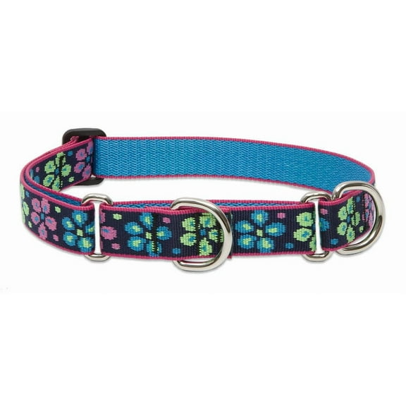 LupinePet Originals 1" Flower Power 15-22" Martingale Collar for Medium and Larger Dogs