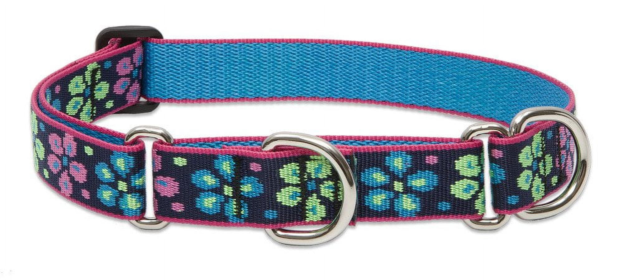 LupinePet Originals 1" Flower Power 19-27" Martingale Collar for Large Dogs