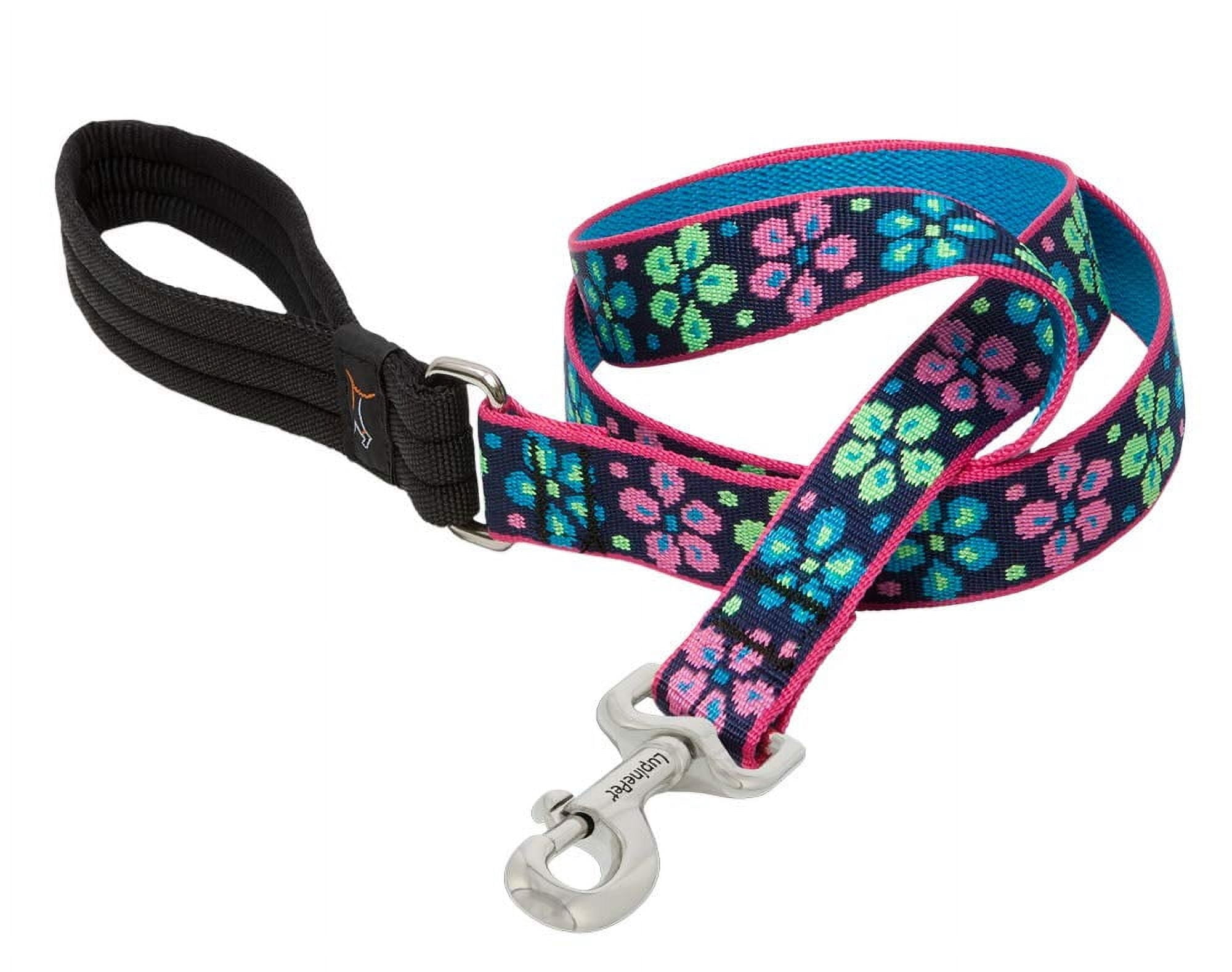 LupinePet Originals 1" Flower Power 6-Foot Padded Handle Leash for Medium and Larger Dogs