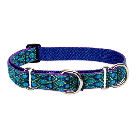 LupinePet Originals 1" Rain Song 15-22" Martingale Collar for Medium and Larger Dogs