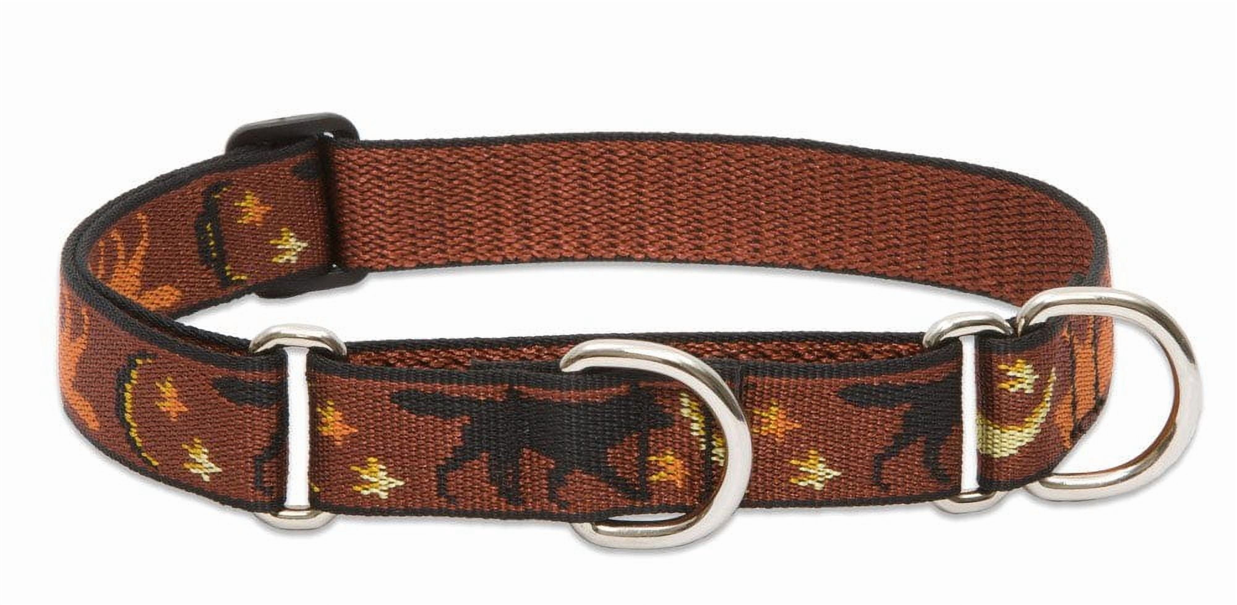LupinePet Originals 1" Shadow Hunter 15-22" Martingale Collar for Medium and Larger Dogs