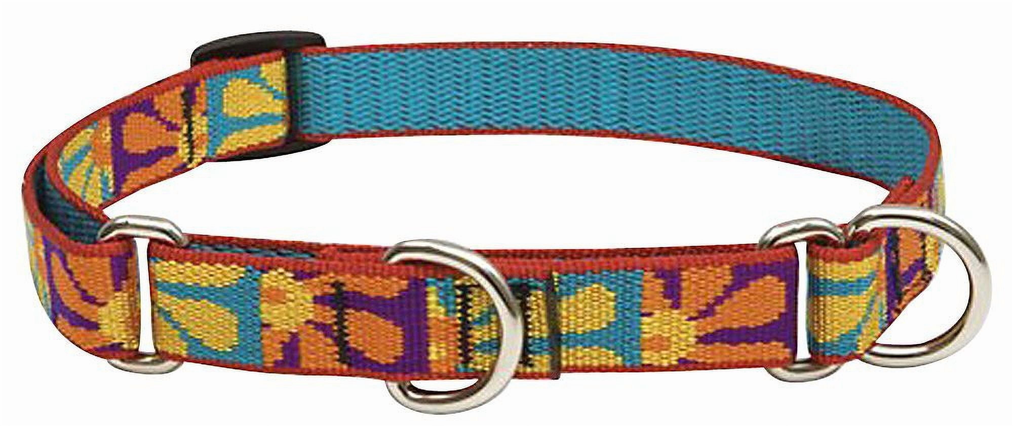 LupinePet Originals 3/4" Crazy Daisy 14-20" Martingale Collar for Medium and Larger Dogs