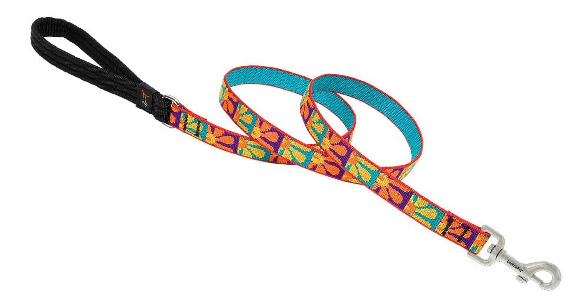 LupinePet Originals 3/4" Crazy Daisy 4-Foot Padded Handle Leash for Medium and Larger Dogs