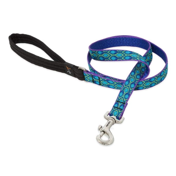 LupinePet Originals 3/4" Rain Song 6-Foot Padded Handle Leash for Medium and Larger Dogs