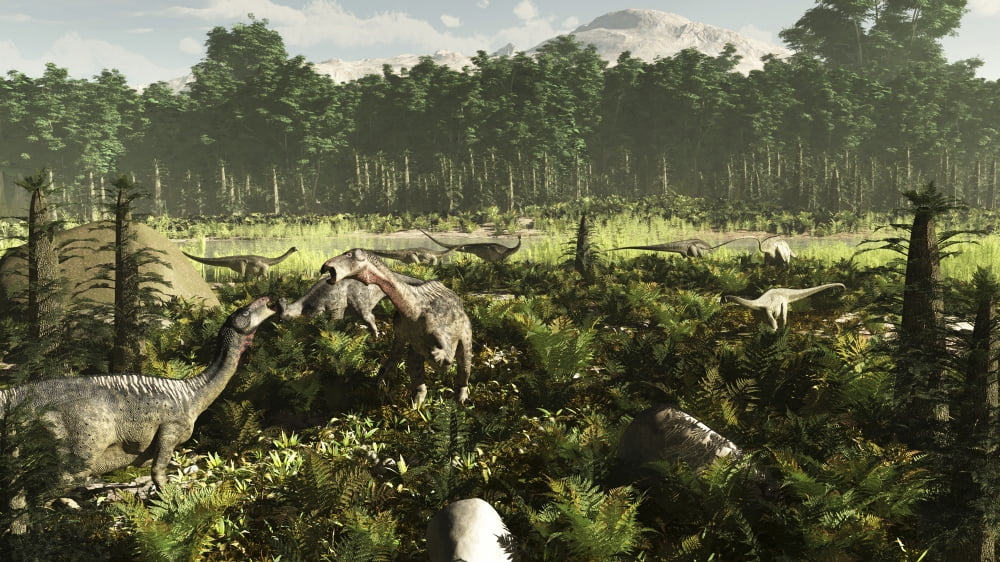 Lurdusaurus and Nigersaurus dinosaurs grazing a prehistoric forest Canvas Art - Arthur DoretyStocktrek Images (38 x 22)