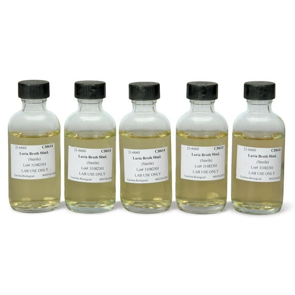 Luria Broth, 50-Ml Bottles, Pack Of 5