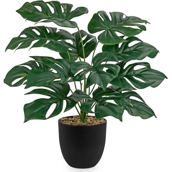 Lush Artificial Monstera  - Realistic Green Leaves, Stylish Black Pot, 14.9-Inch Tall,   for  & Office  Wedding Decor
