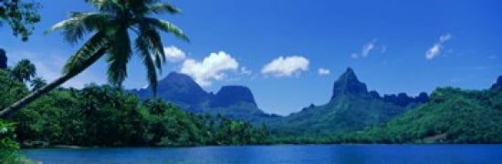 Lush Foliage And Rock Formations Moorea Island Tahiti Canvas Art - Panoramic Images (36 x 12)