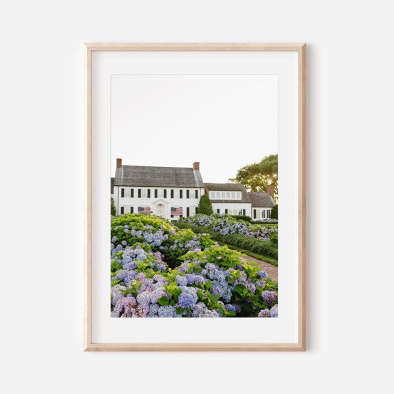Lush Hydrangeas In Nantucket Coastal Floral Fine Art Pink Purple Blooms By White Picket Fence Summer New England Wall Art, Unframed Paper Print