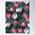 thumbnail image 1 of Lush Protea Botanical With Blue Green Leaves Poster Wall Art, Modern Wall Decor For Living Room Bedroom, 8x12 UNFRAMED, 1 of 2