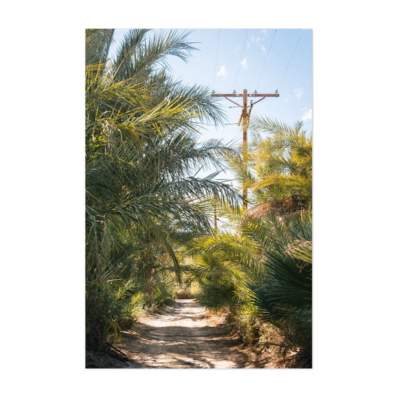 Lush Road, North Shore - North Shore California Photography Palm Tree Nature Desert Tropical Scenic Landscape Forest Unframed Wall Art Print 40 x 60 inches