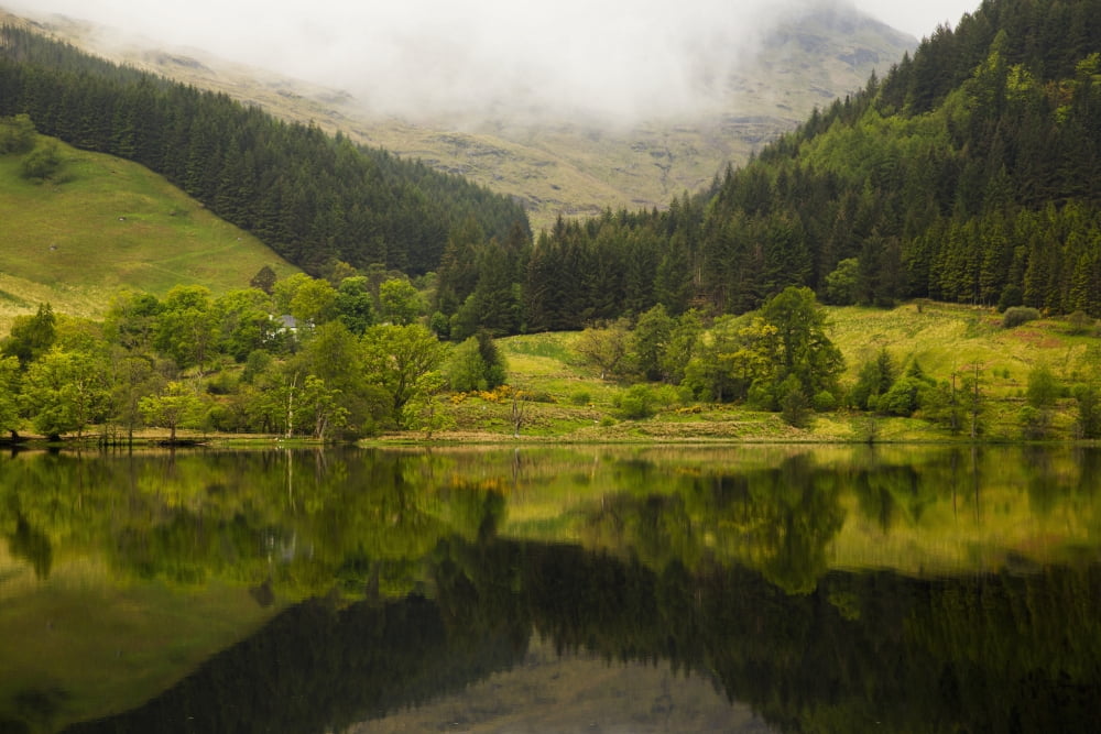 Lush green landscape with grass trees and low cloud with its mirror image in the tranquil water Scotland Canvas Art - John Short Design Pics (38 x 24)